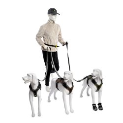 Bundle Harness &amp; Running Leash